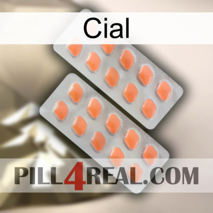 Cial 27